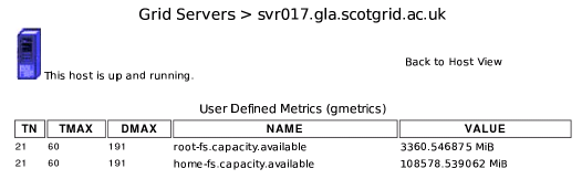 Ganglia gmetric page, showing information about two metrics that MonAMI is providing.